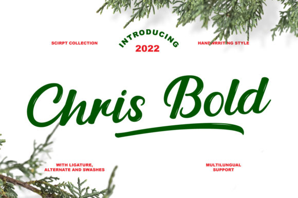 Chris Bold: A Timeless Handwritten Font for Digital Design
