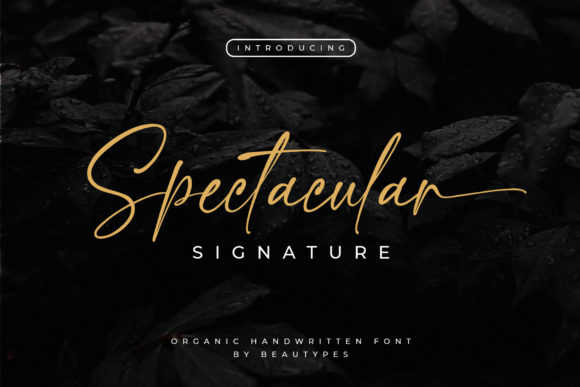 Elevate Your Craft with Spectacular Signature Font