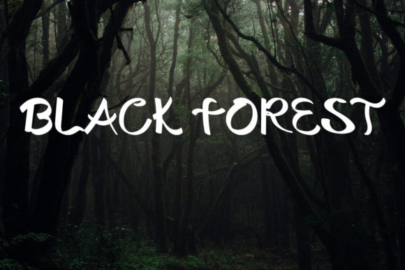 Exploring Black Forest: A Versatile Script Font