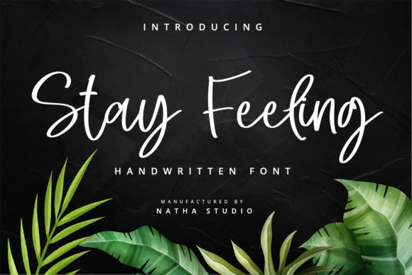 Stay Feeling: A Handwritten Font for Editorial Elegance